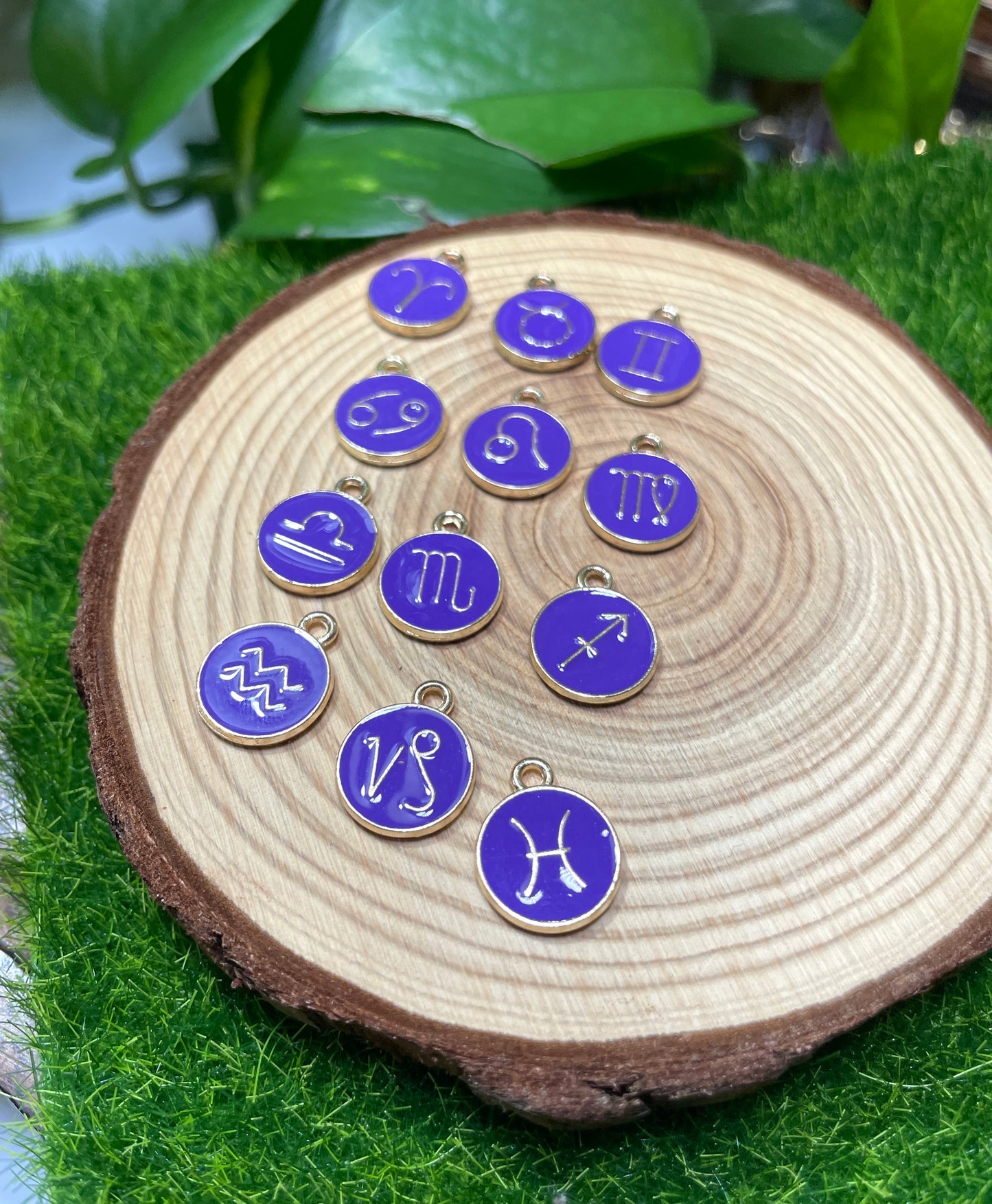 12 Astrology Zodiac Signs Charm Pack (Purple)