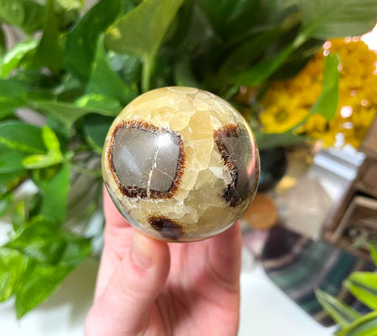 Septarian Sphere