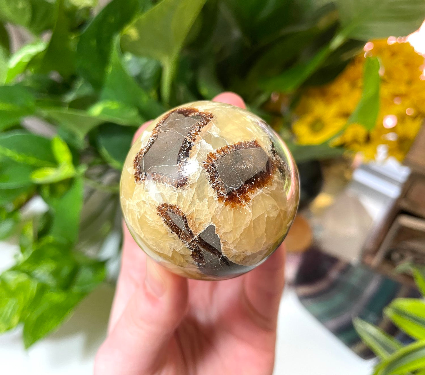 Septarian Sphere