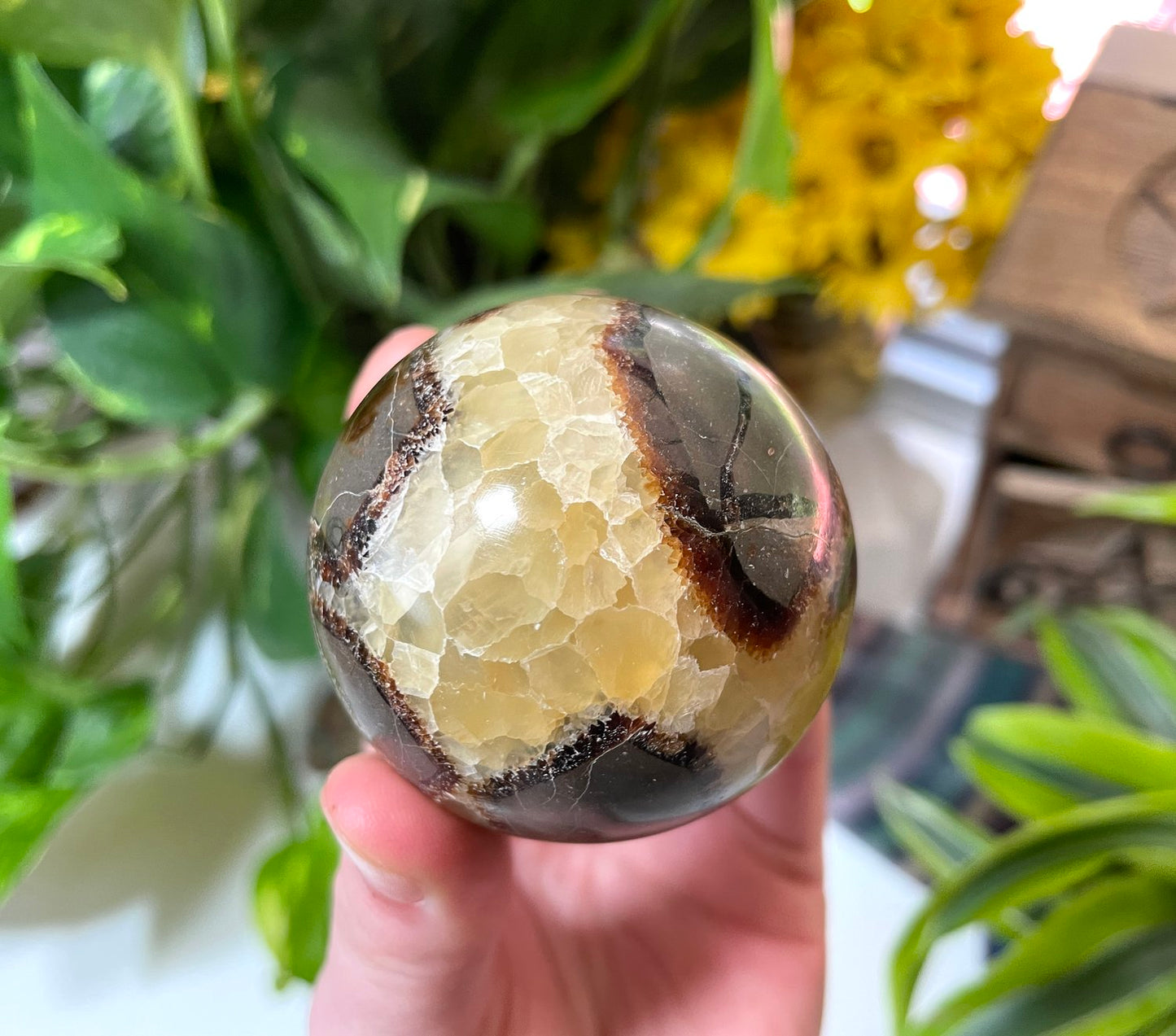 Septarian Sphere