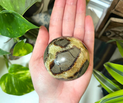 Septarian Sphere