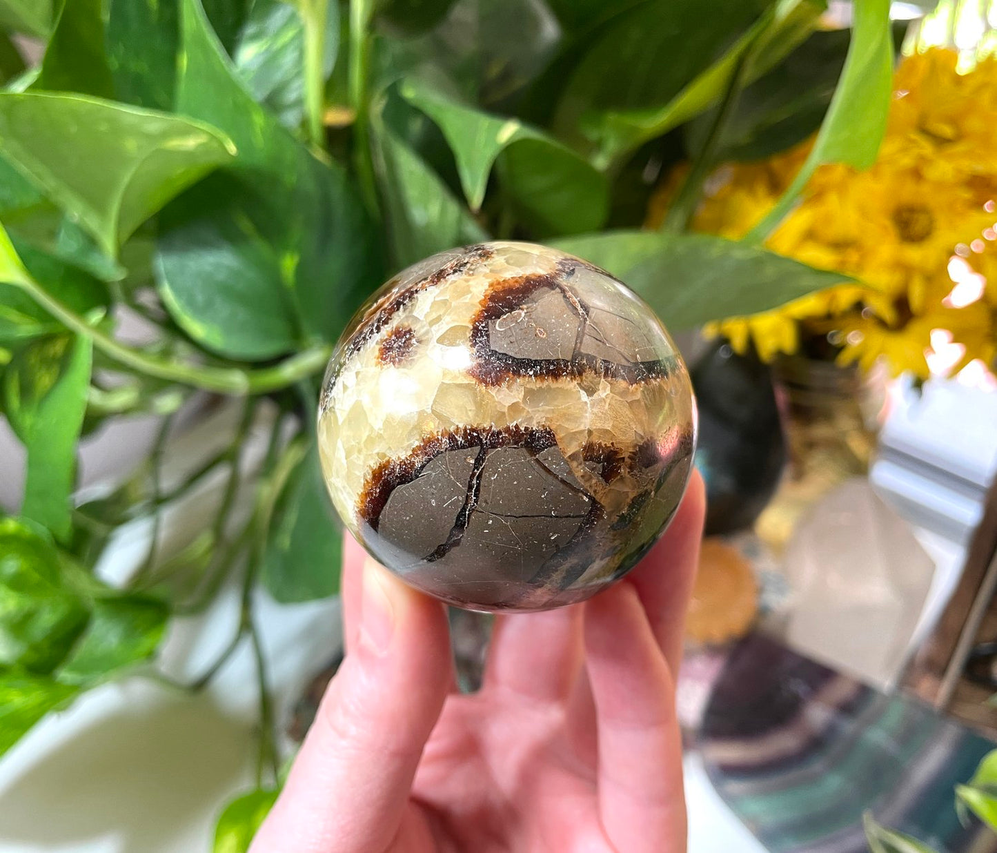 Septarian Sphere