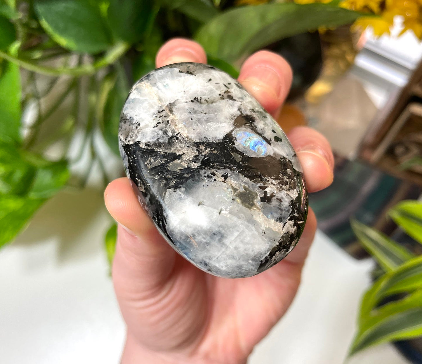 Rainbow Moonstone Palm Stone