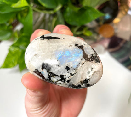 Rainbow Moonstone Palm Stone