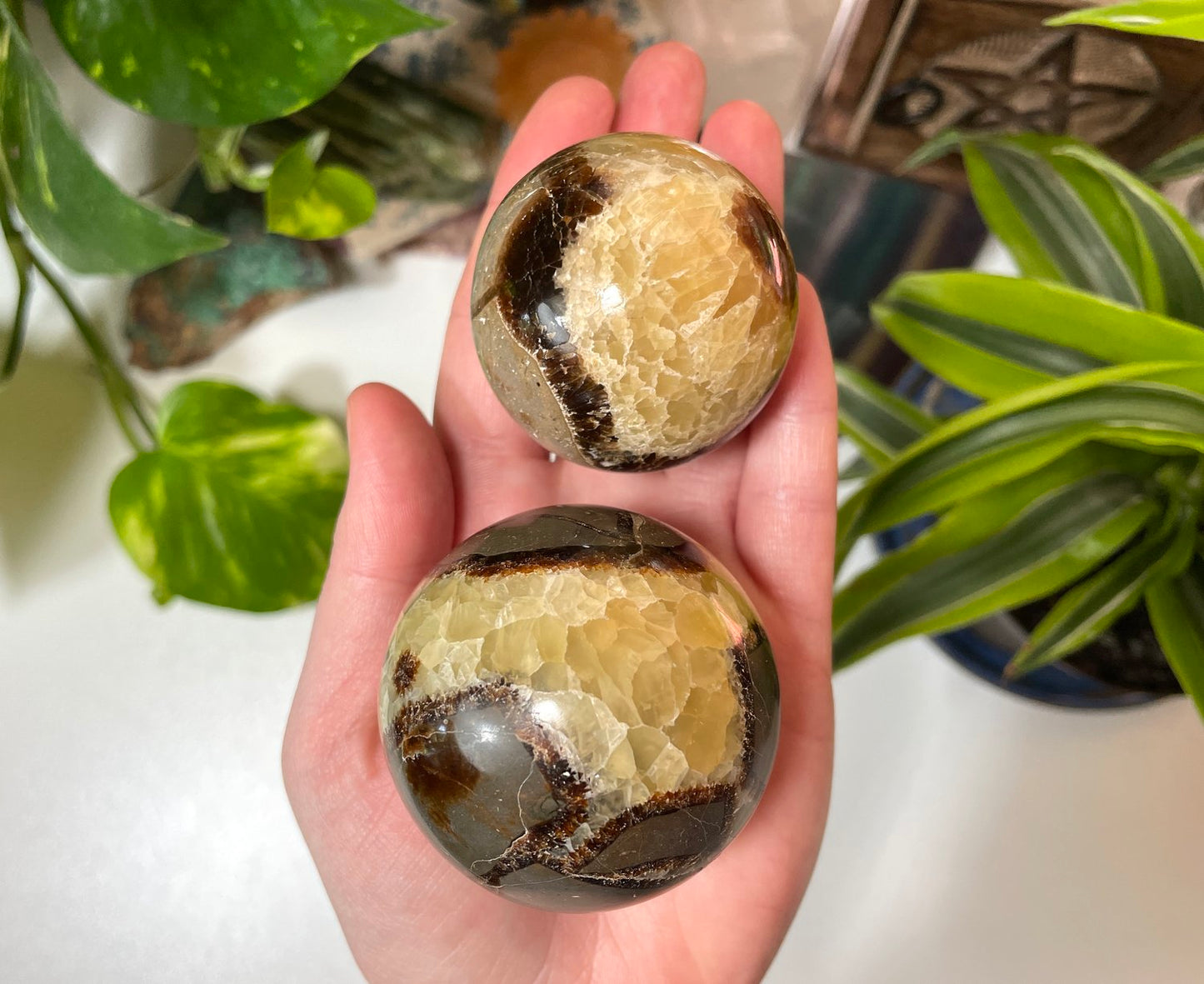 Septarian Sphere