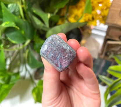 Ruby in Kyanite Tumble