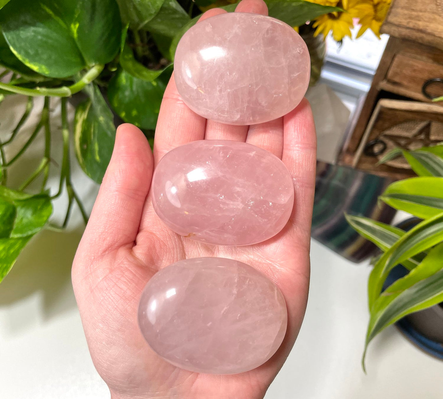 Rose Quartz Small Palm Stone