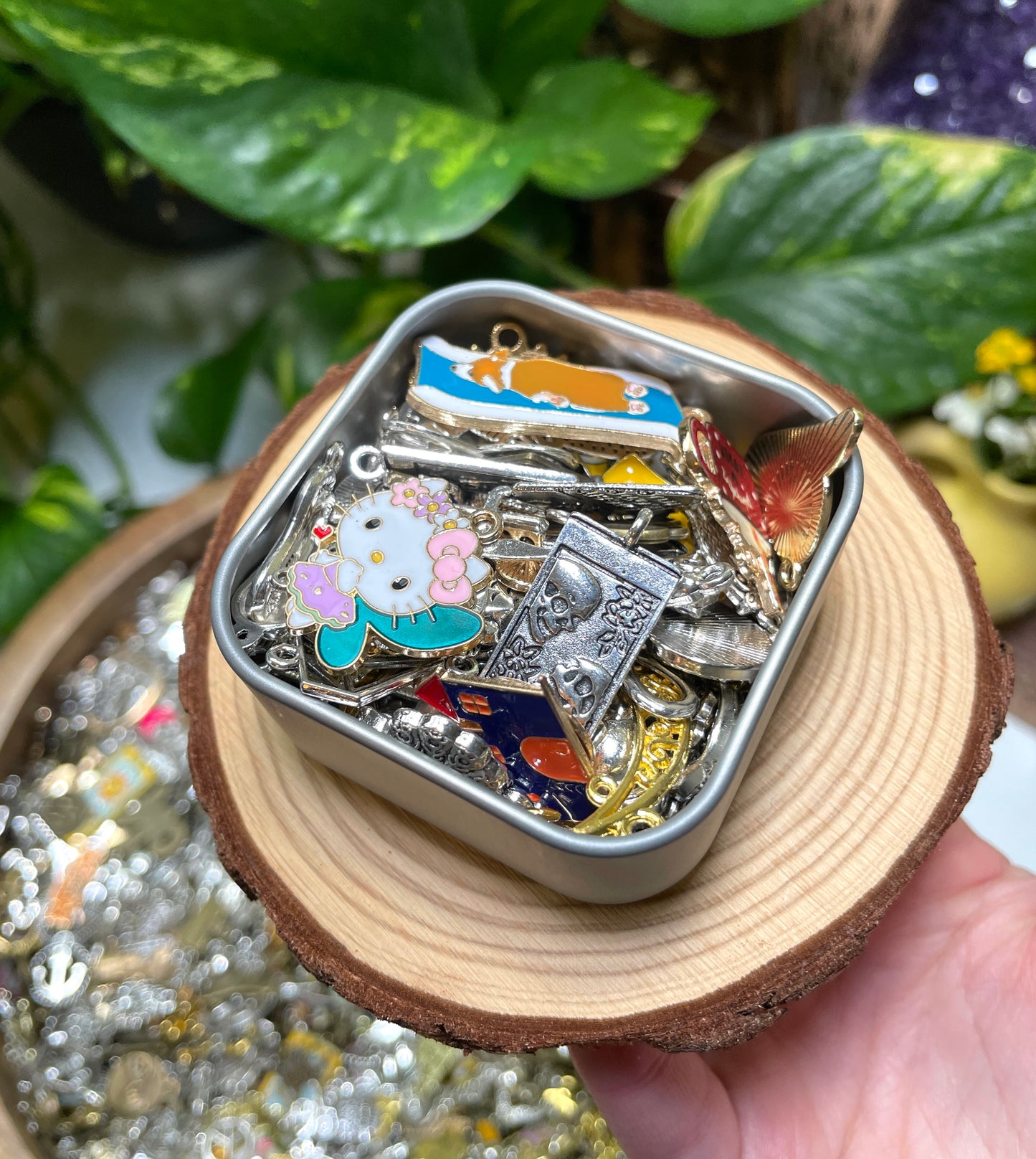 Charm Scoops in Square Tin