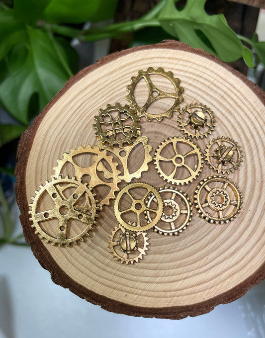 Mystery Gear Gold Charm