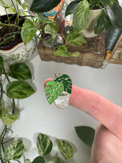 House Plant Charm