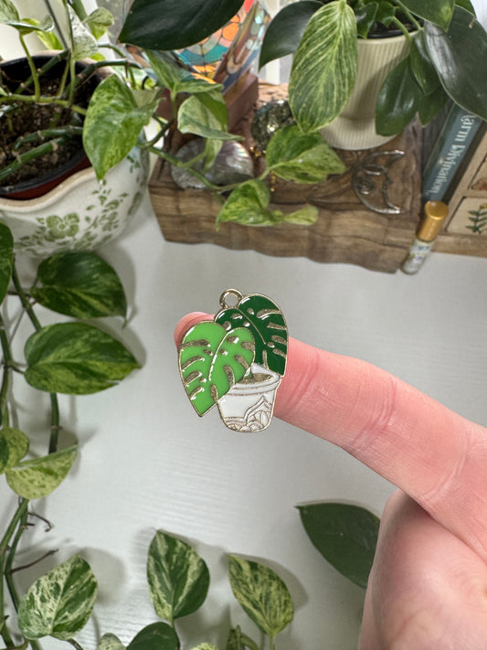 House Plant Charm