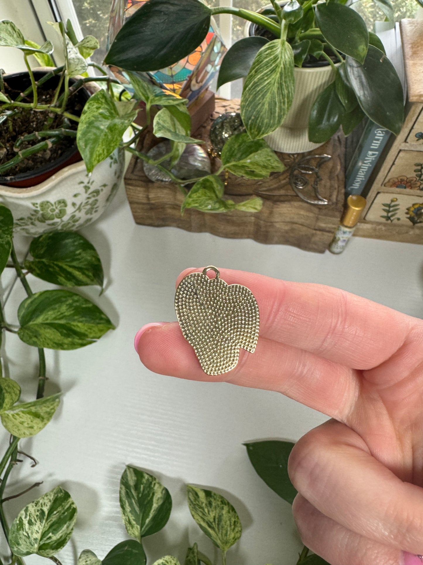 House Plant Charm
