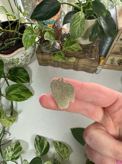 House Plant Charm