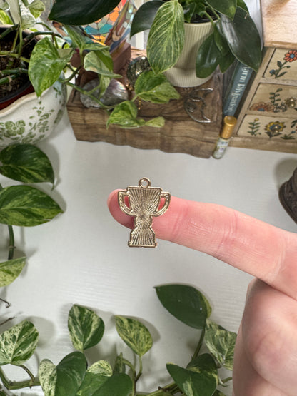 Trophy Charm