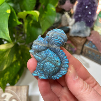 Labradorite Squirrel