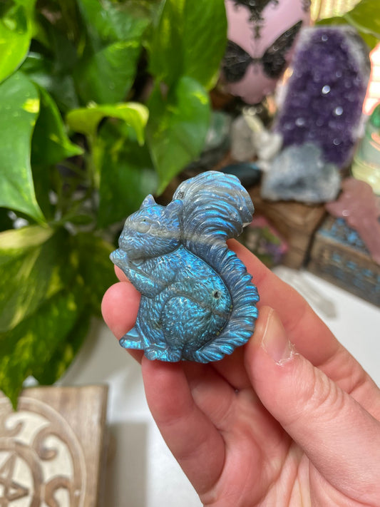 Labradorite Squirrel