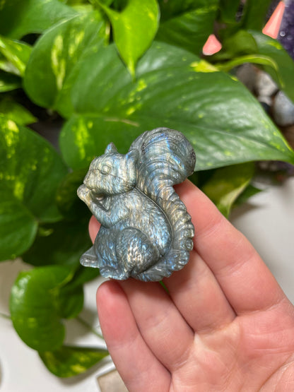 Labradorite Squirrel