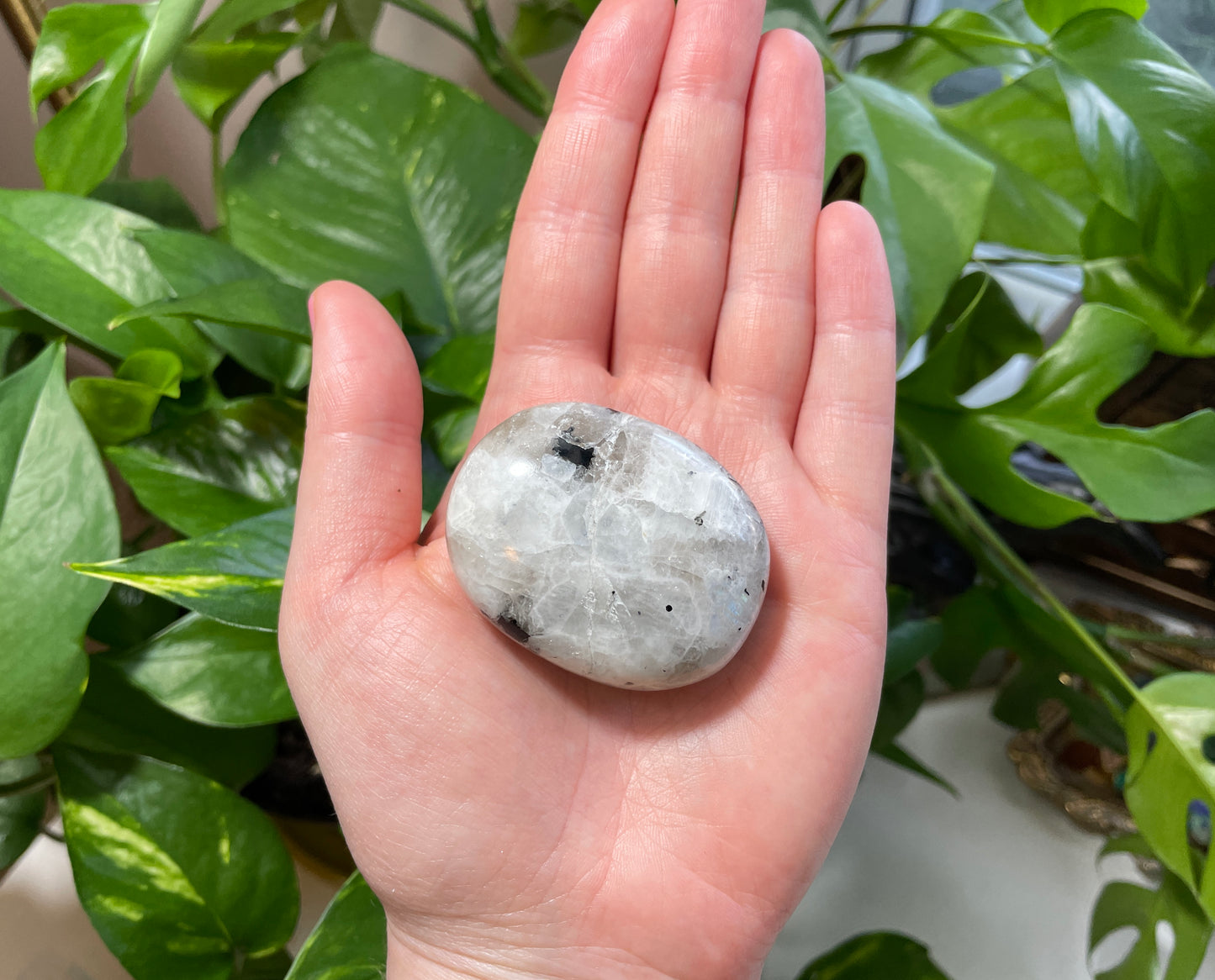 Rainbow Moonstone Palm Stone