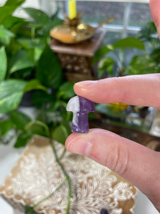 Chevron Amethyst Mushroom