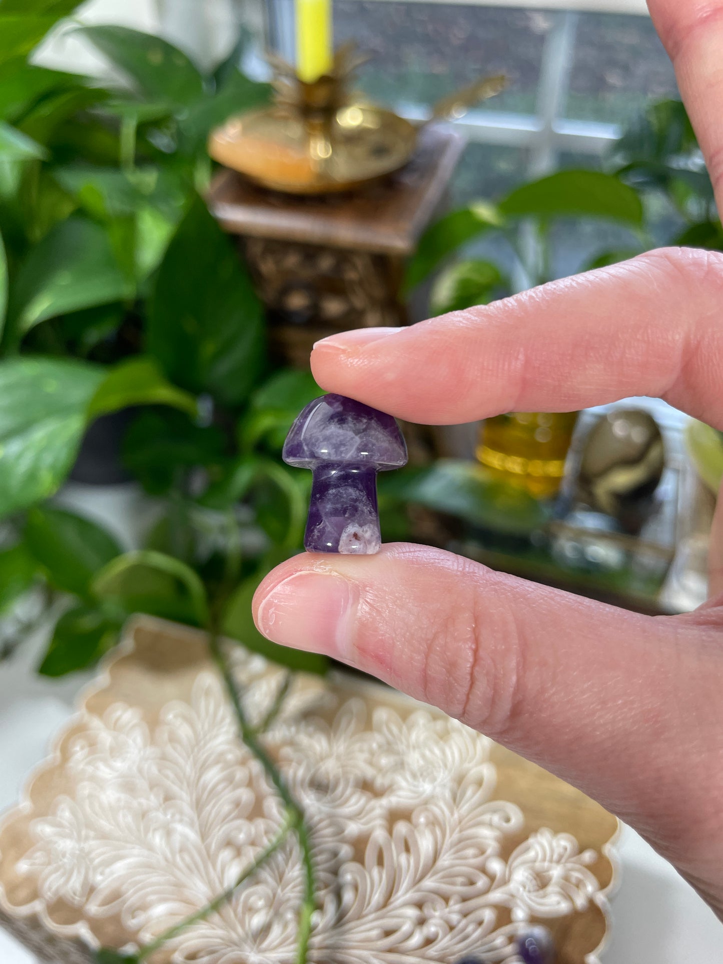 Chevron Amethyst Mushroom