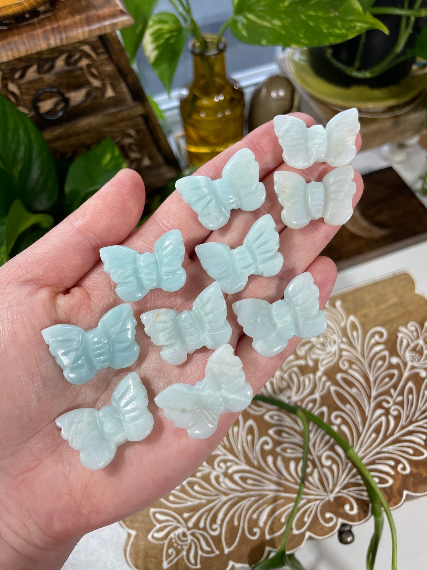 Caribbean Calcite Butterfly Carving