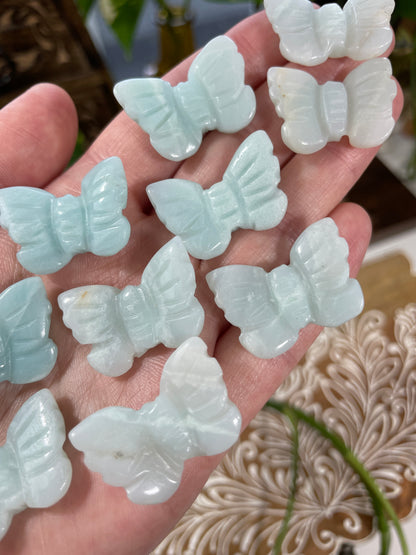 Caribbean Calcite Butterfly Carving