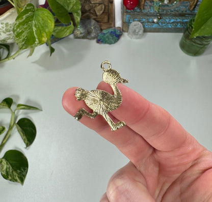Ostrich Charm