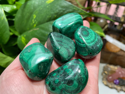 Large Malachite Tumbles