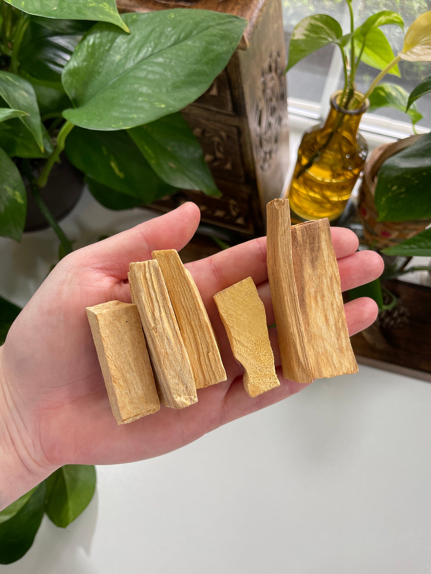 Palo Santo Sticks