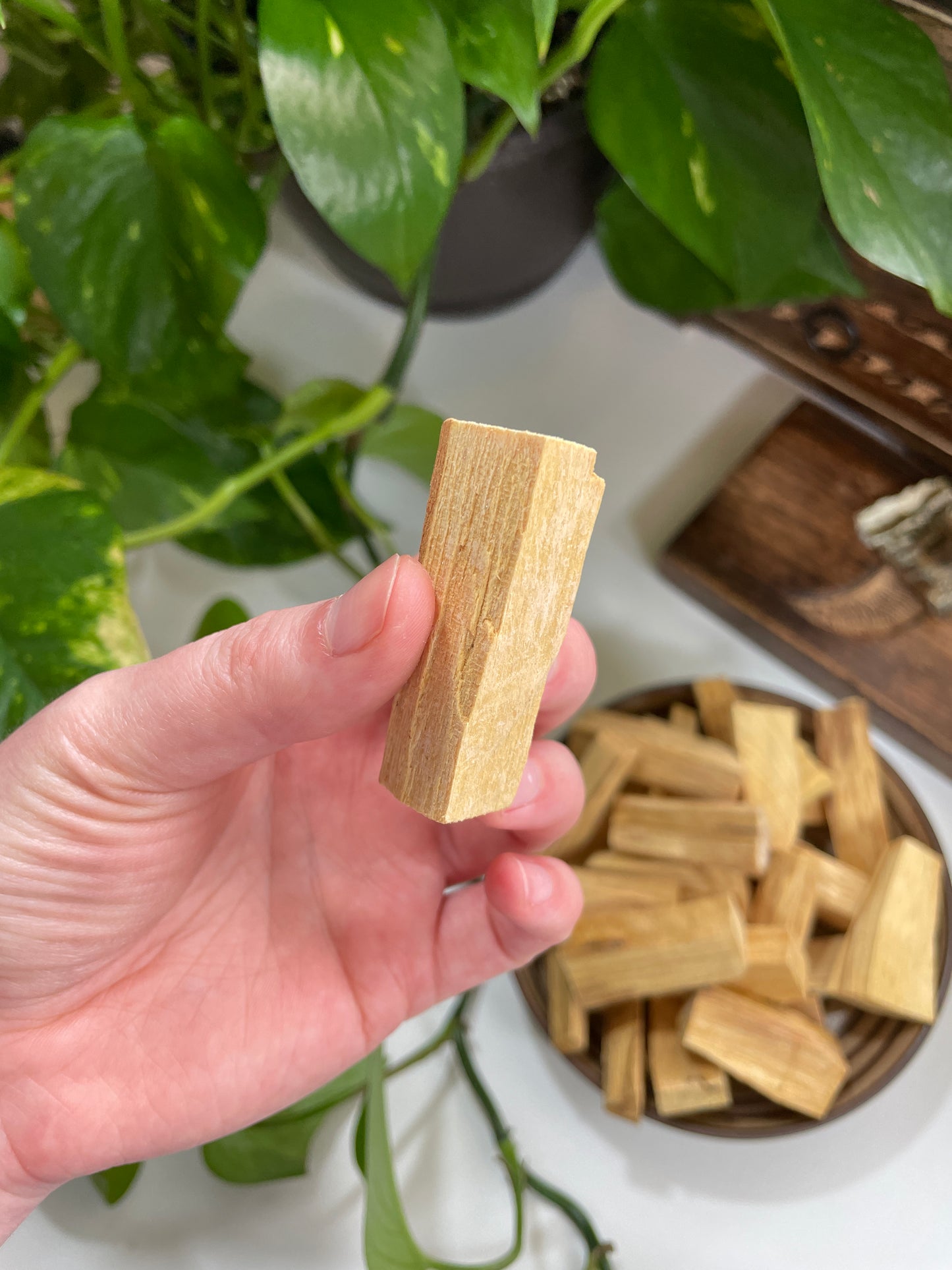 Palo Santo Sticks