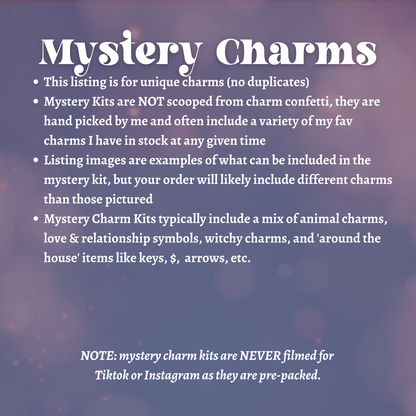 100 Charm Kit (Mystery Charms)