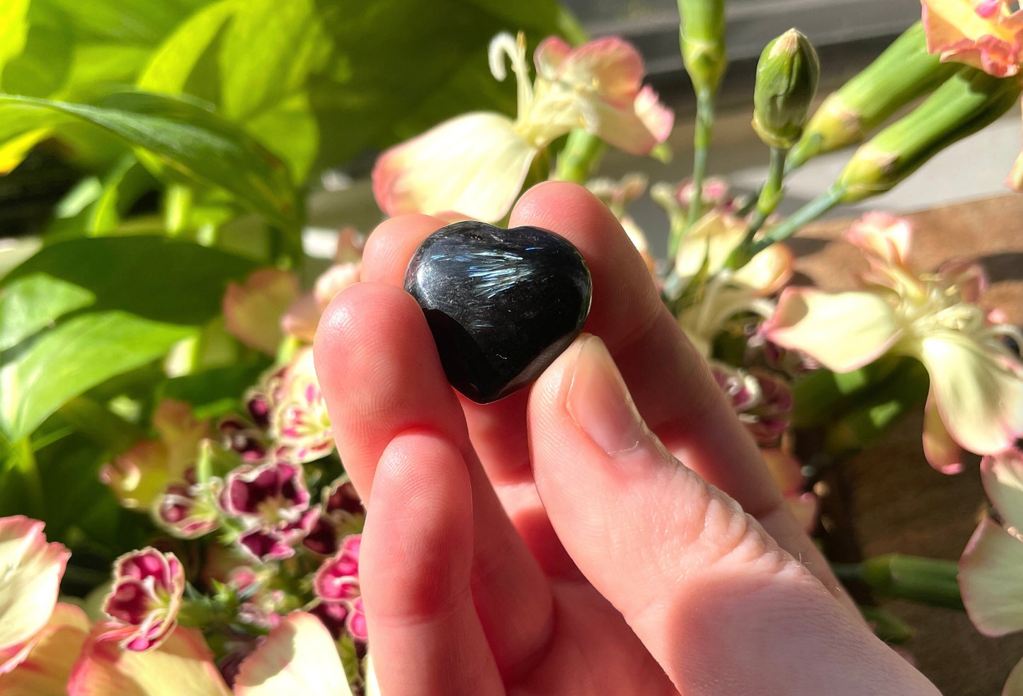 Garnet Astrophyllite Mini Heart