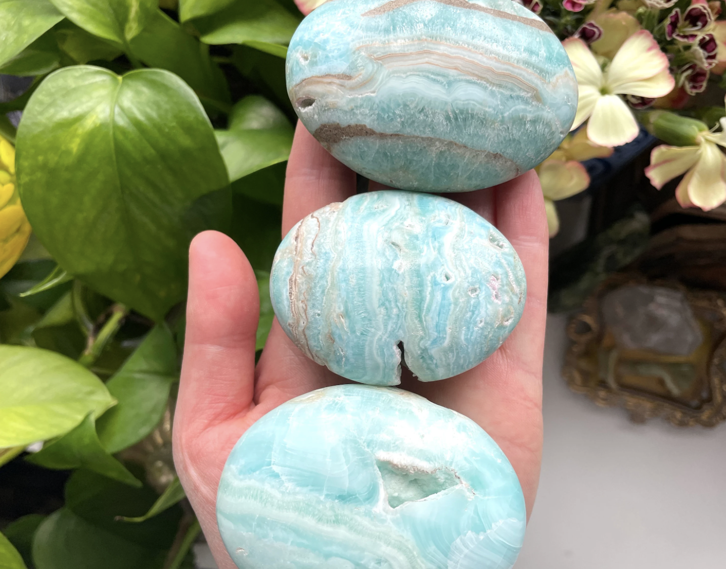 Blue Aragonite Palm