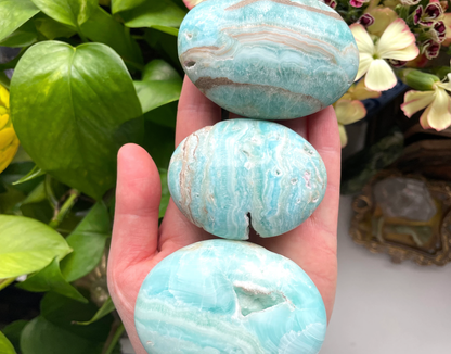 Blue Aragonite Palm