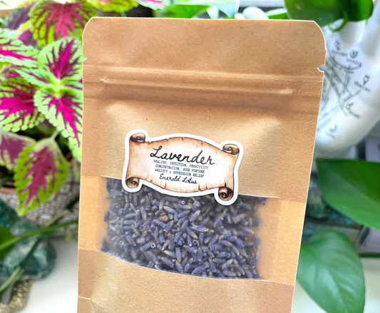 Dried Lavender Flower Buds