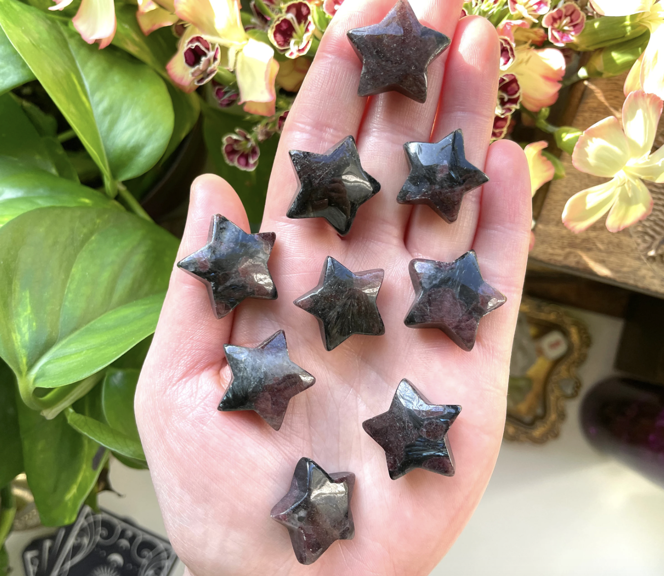 Astrophyllite Garnet Star Carving