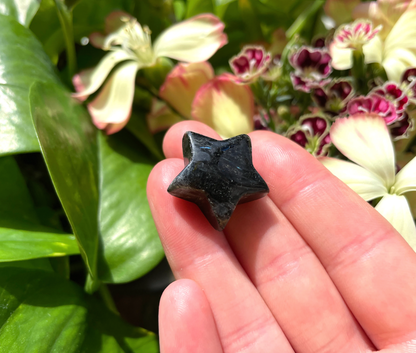 Astrophyllite Garnet Star Carving