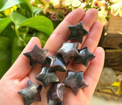 Astrophyllite Garnet Star Carving