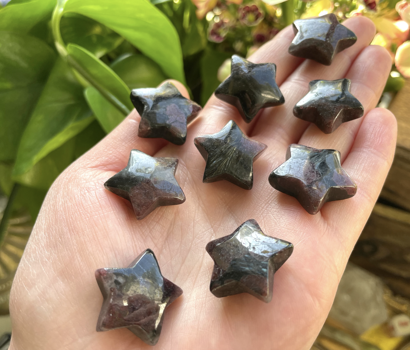 Astrophyllite Garnet Star Carving