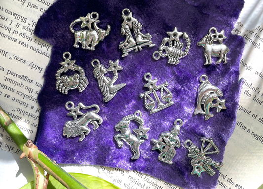 12 Astrology Silver Charm Bundle