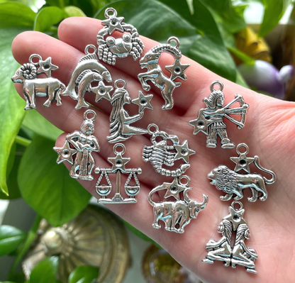 12 Astrology Silver Charm Bundle