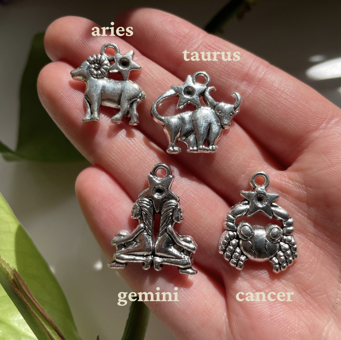 12 Astrology Silver Charm Bundle