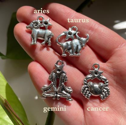 12 Astrology Silver Charm Bundle