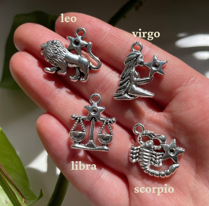 12 Astrology Silver Charm Bundle