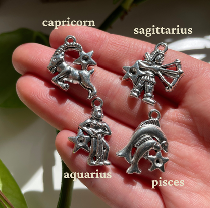 12 Astrology Silver Charm Bundle