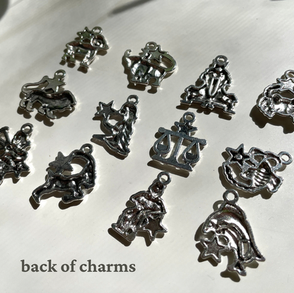 12 Astrology Silver Charm Bundle