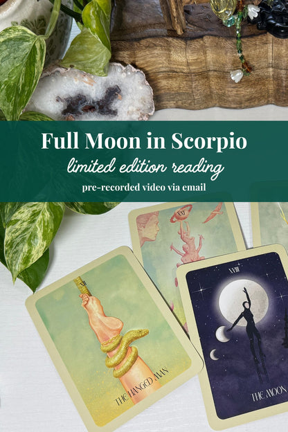 Full Moon in Scorpio Tarot Reading | May 1