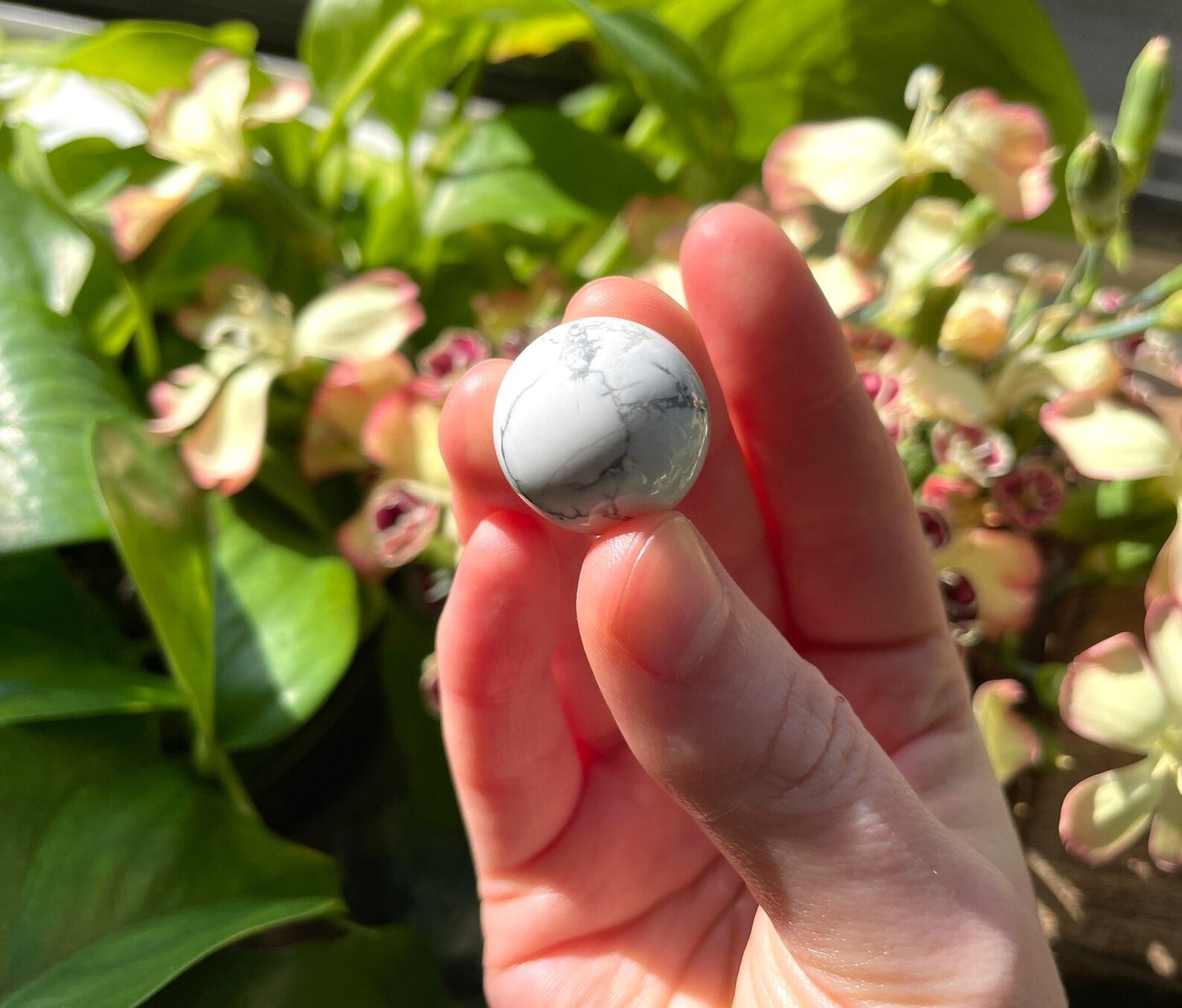 Howlite Mini Sphere