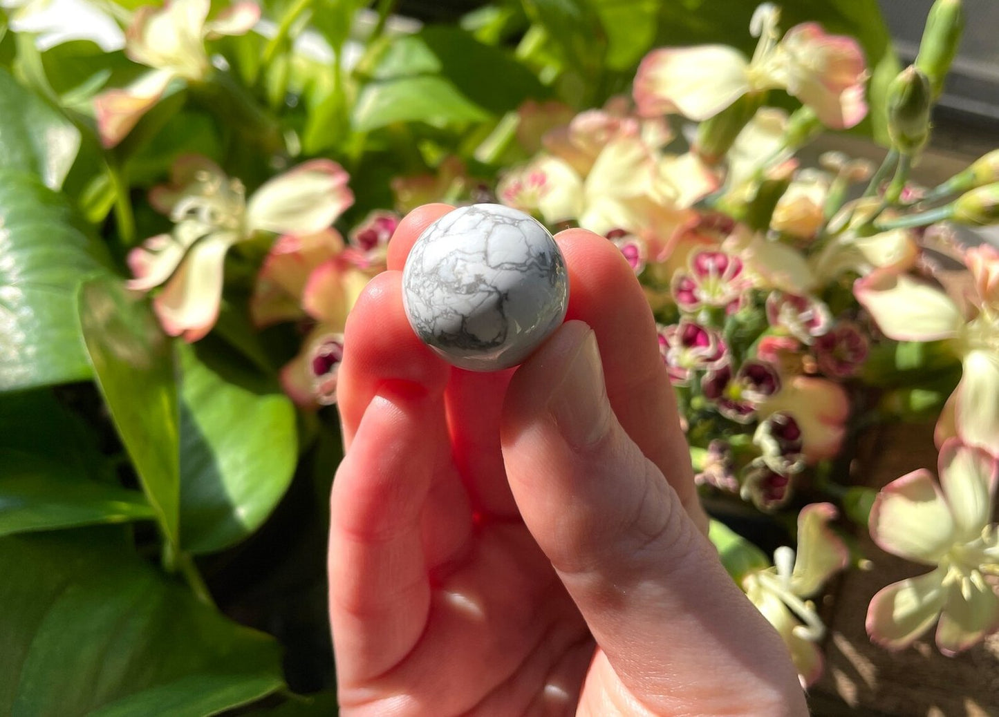 Howlite Mini Sphere