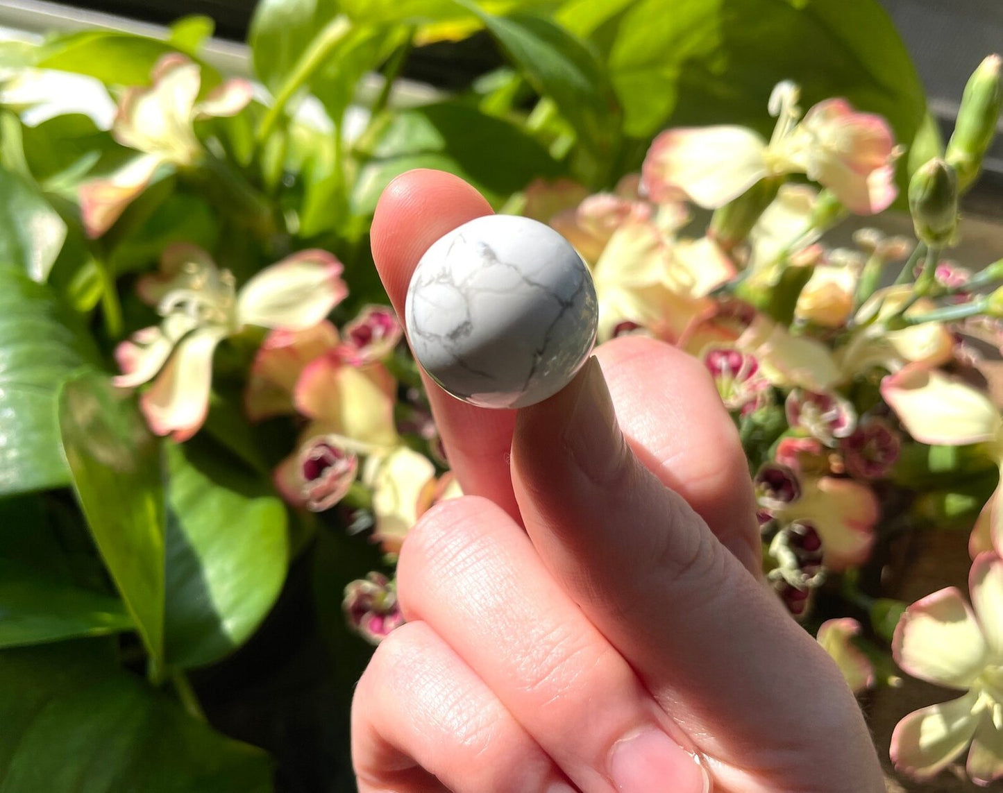 Howlite Mini Sphere